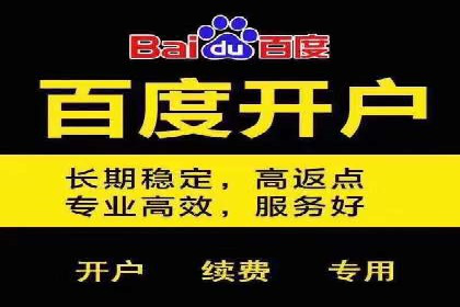 百度竞价广告投放成功案例解析