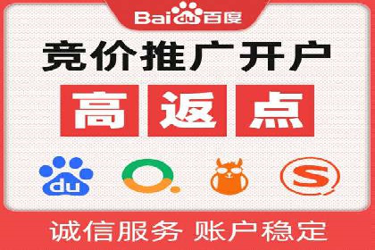 竞价广告在XX行业的成功应用案例